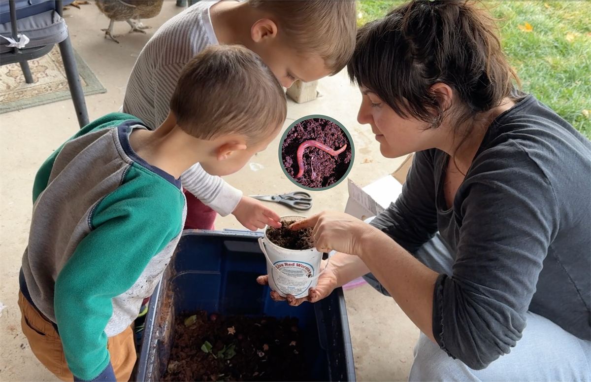 An adult and two kids looking into a worm bin